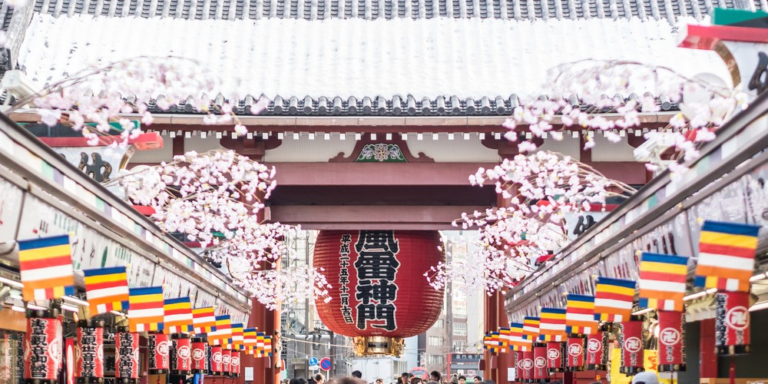 Exploring Japan's February Delights