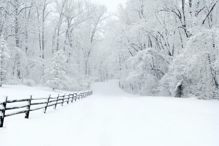 How Knoxville is Protecting Residents from the Cold