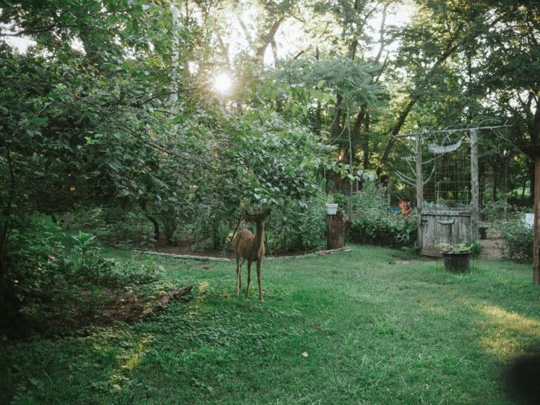 Discover Nashville’s Scenic Parks and Riverfront Areas