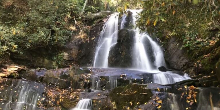Celebrate Fall at the Great Smoky Mountains National Park
