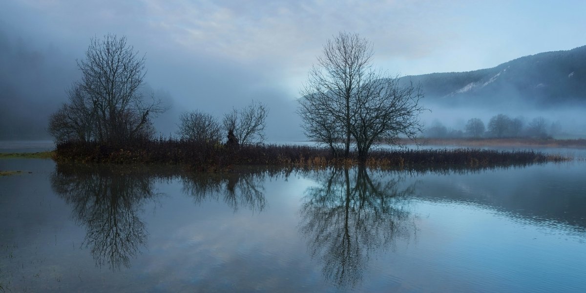 Overcoming Seasonal Affective Disorder: Strategies for Coping with SAD