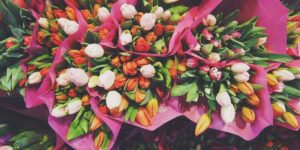 Breathe Easy at Home: Simple & Sustainable Hacks for a Year-Round Fresh-Smelling Space