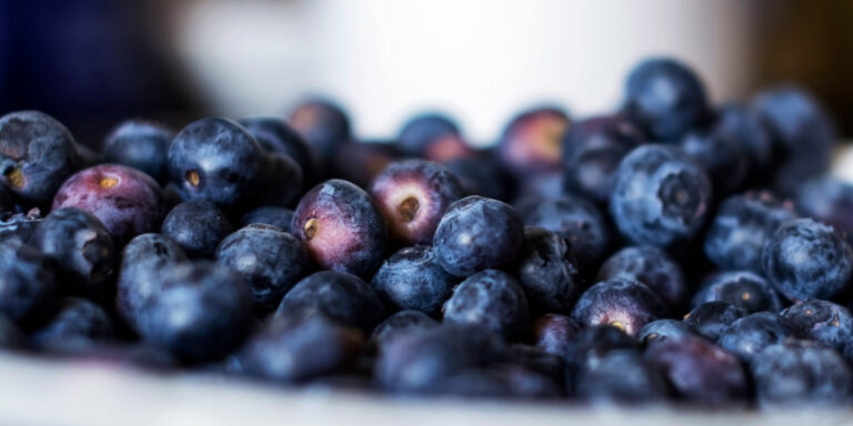 Acai Berry Health Benefits and Tasty Culinary Uses