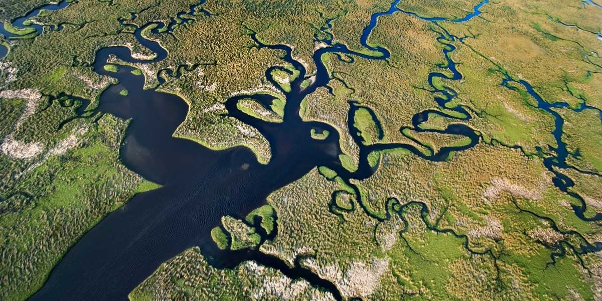 How Wetlands Safeguard Coastal Areas from Storms and Flooding