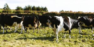 Cultivating the Volunteer State’s Farming Future