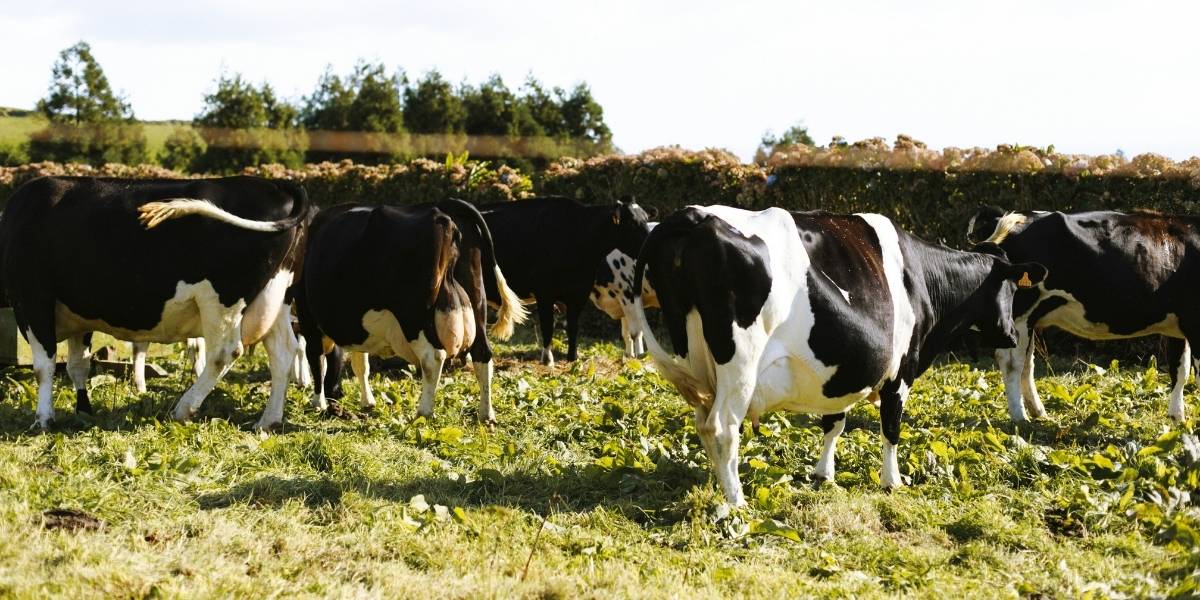 Cultivating the Volunteer State’s Farming Future