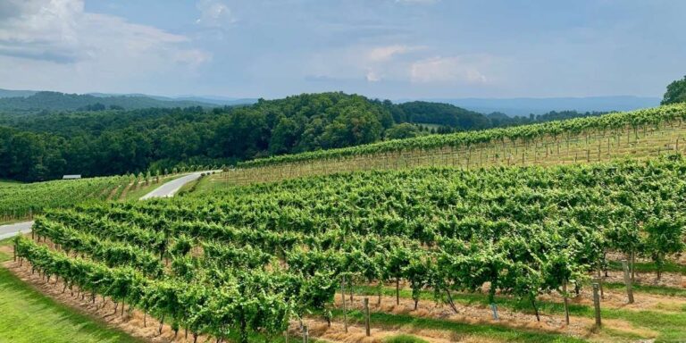 Hendersonville Spring Events and Lakefront Activities Guide