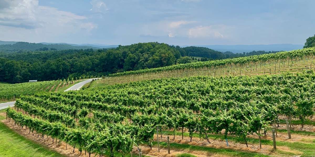 Hendersonville Spring Events and Lakefront Activities Guide
