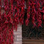 Pepper X & Carolina Reaper: Unrivaled Heat