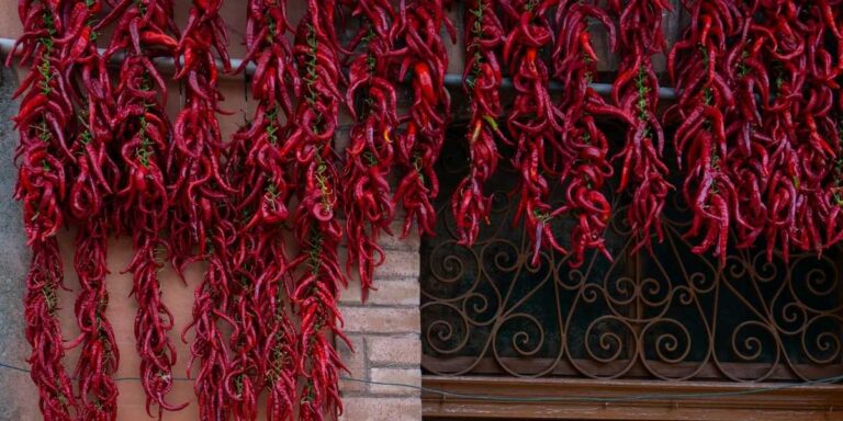 Pepper X & Carolina Reaper: Unrivaled Heat