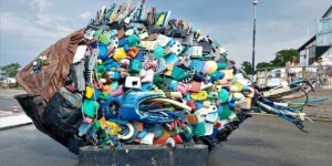 Sustainable Living: Products from Recycled Content